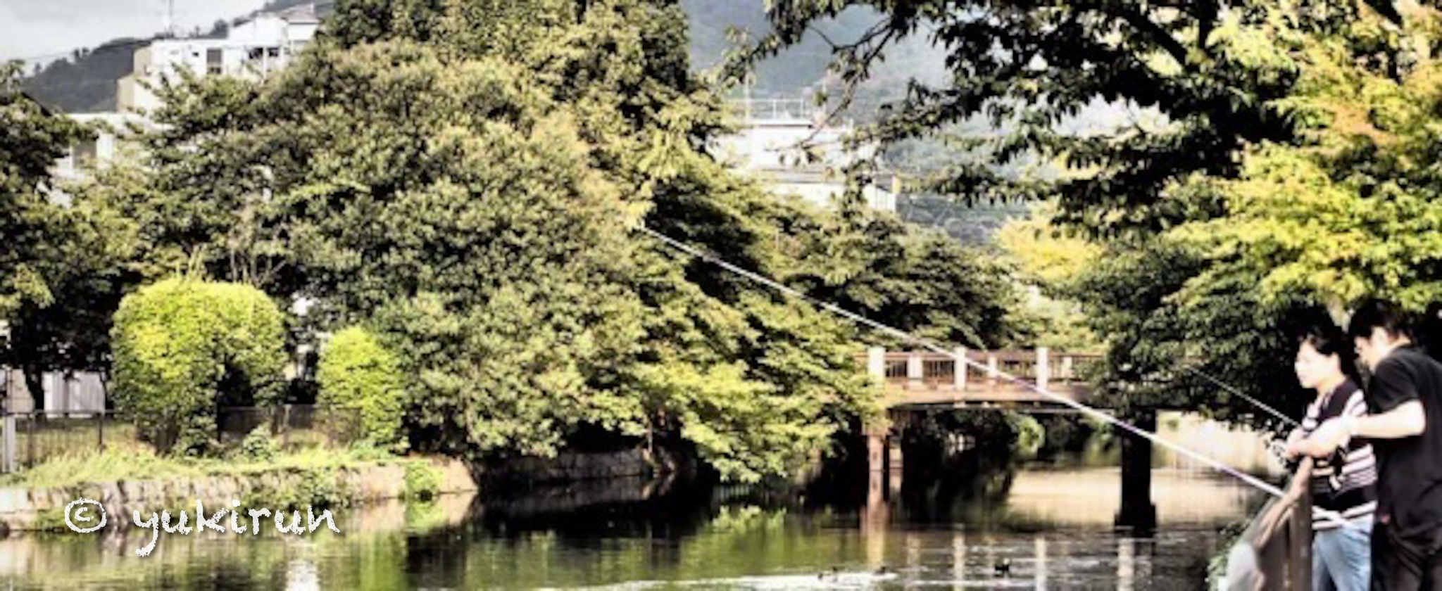 京都で釣り